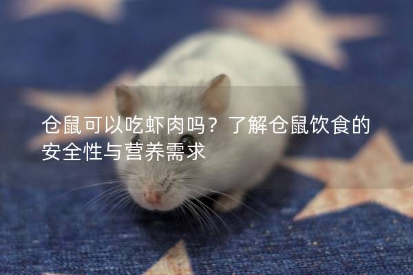 仓鼠可以吃虾肉吗？了解仓鼠饮食的安全性与营养需求