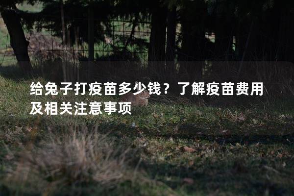 给兔子打疫苗多少钱？了解疫苗费用及相关注意事项