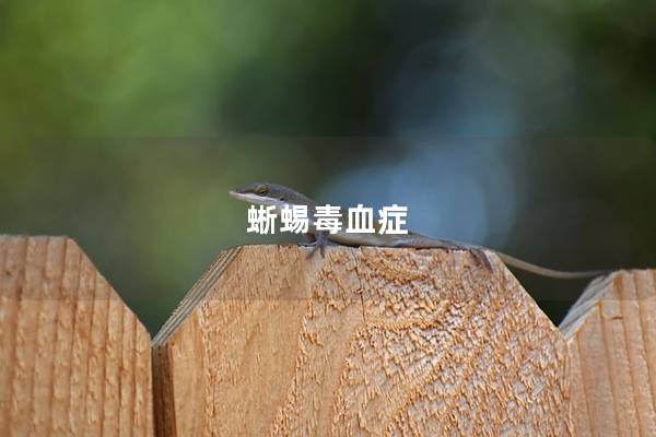 蜥蜴毒血症