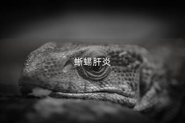蜥蜴肝炎