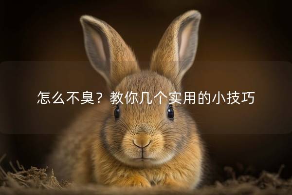 怎么不臭？教你几个实用的小技巧