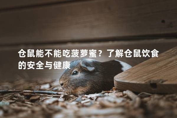 仓鼠能不能吃菠萝蜜？了解仓鼠饮食的安全与健康