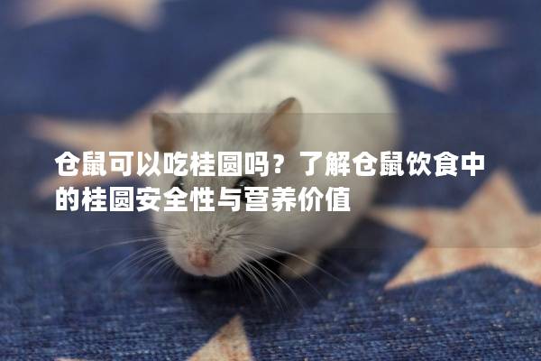 仓鼠可以吃桂圆吗？了解仓鼠饮食中的桂圆安全性与营养价值