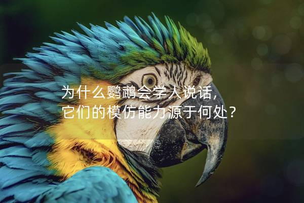 为什么鹦鹉会学人说话, 它们的模仿能力源于何处？
