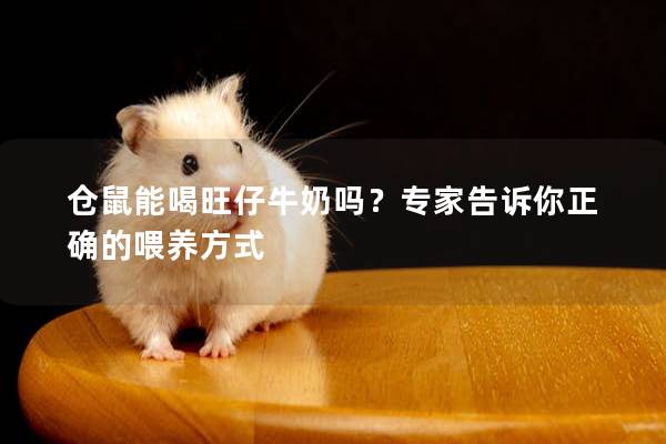 仓鼠能喝旺仔牛奶吗？专家告诉你正确的喂养方式