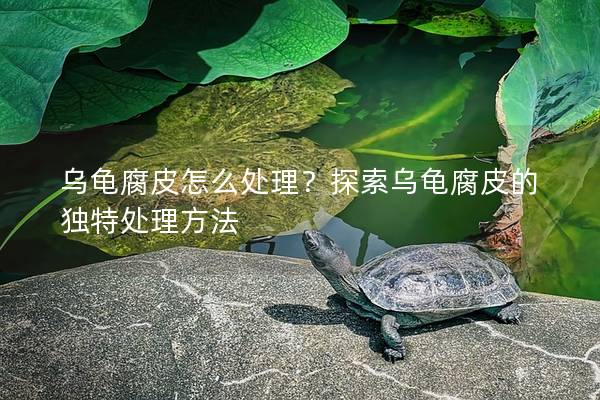 乌龟腐皮怎么处理？探索乌龟腐皮的独特处理方法