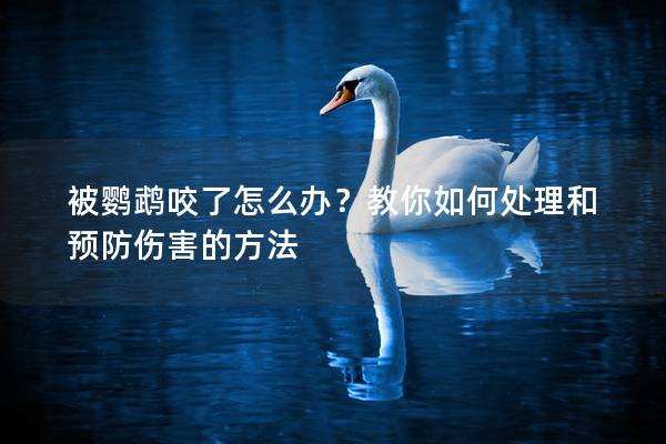 被鹦鹉咬了怎么办？教你如何处理和预防伤害的方法
