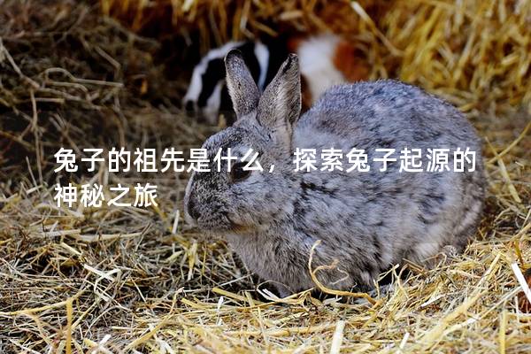 兔子的祖先是什么，探索兔子起源的神秘之旅