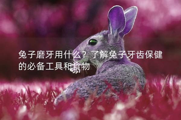 兔子磨牙用什么？了解兔子牙齿保健的必备工具和食物