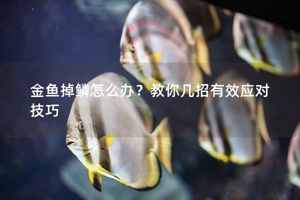 金鱼掉鳞怎么办？教你几招有效应对技巧