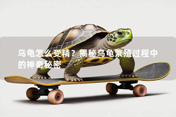 乌龟怎么受精？揭秘乌龟繁殖过程中的神奇秘密