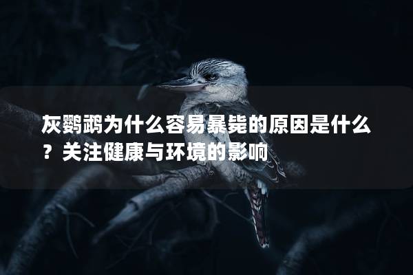 灰鹦鹉为什么容易暴毙的原因是什么？关注健康与环境的影响