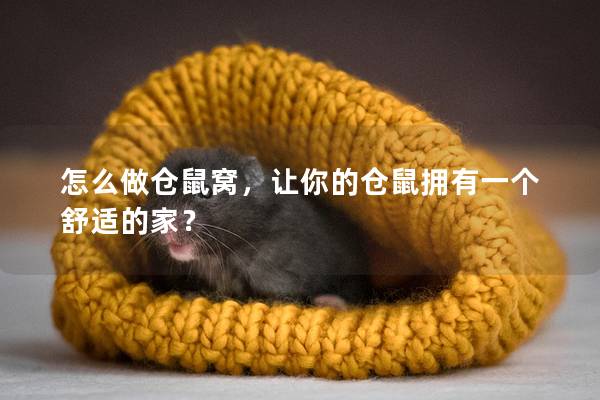 怎么做仓鼠窝，让你的仓鼠拥有一个舒适的家？