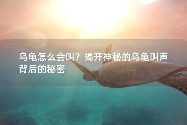 乌龟怎么会叫？揭开神秘的乌龟叫声背后的秘密