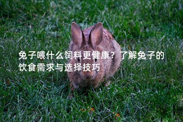 兔子喂什么饲料更健康？了解兔子的饮食需求与选择技巧