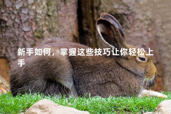 新手如何，掌握这些技巧让你轻松上手