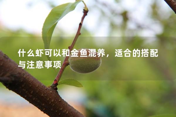 什么虾可以和金鱼混养，适合的搭配与注意事项
