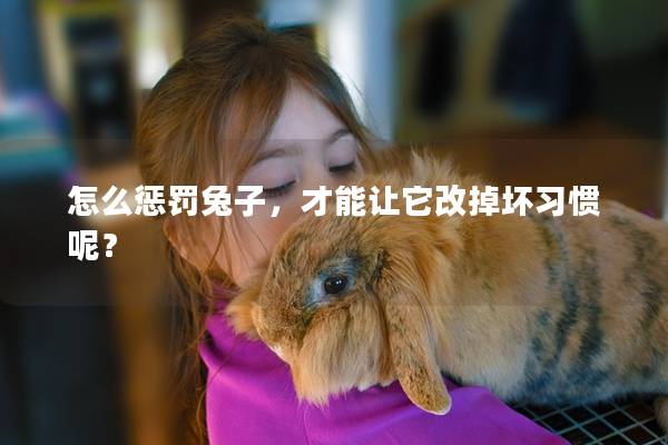 怎么惩罚兔子，才能让它改掉坏习惯呢？