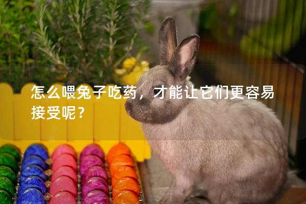 怎么喂兔子吃药，才能让它们更容易接受呢？