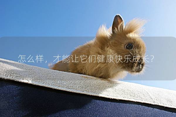 怎么样，才能让它们健康快乐成长？