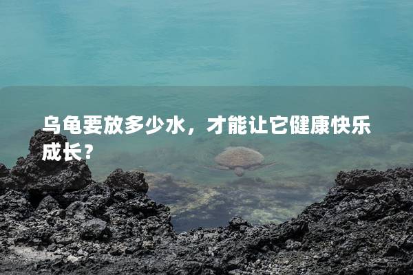 乌龟要放多少水，才能让它健康快乐成长？