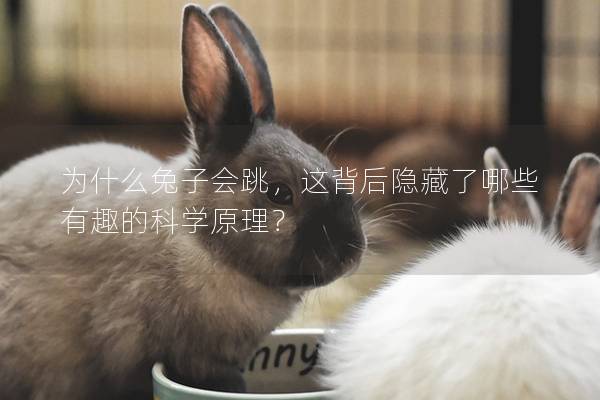 为什么兔子会跳，这背后隐藏了哪些有趣的科学原理？