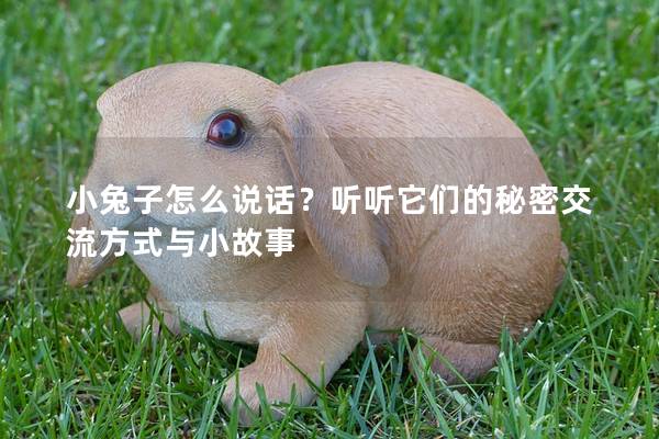 小兔子怎么说话？听听它们的秘密交流方式与小故事