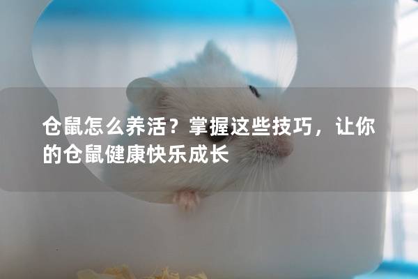 仓鼠怎么养活？掌握这些技巧，让你的仓鼠健康快乐成长