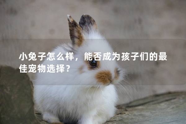 小兔子怎么样，能否成为孩子们的最佳宠物选择？