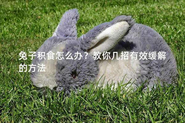 兔子积食怎么办？教你几招有效缓解的方法
