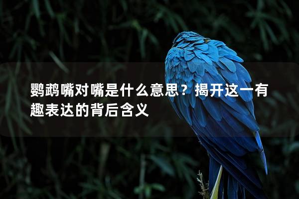 鹦鹉嘴对嘴是什么意思？揭开这一有趣表达的背后含义