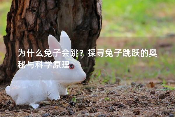 为什么兔子会跳？探寻兔子跳跃的奥秘与科学原理