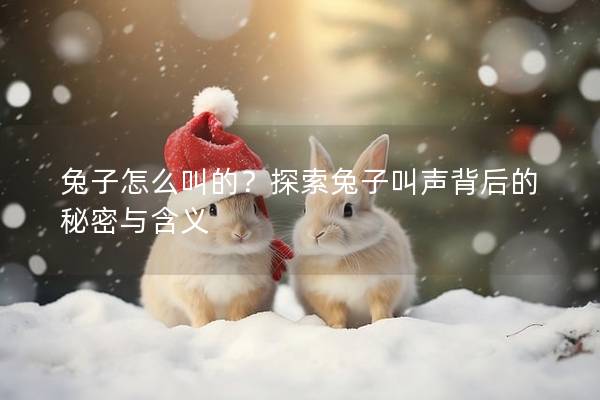 兔子怎么叫的？探索兔子叫声背后的秘密与含义