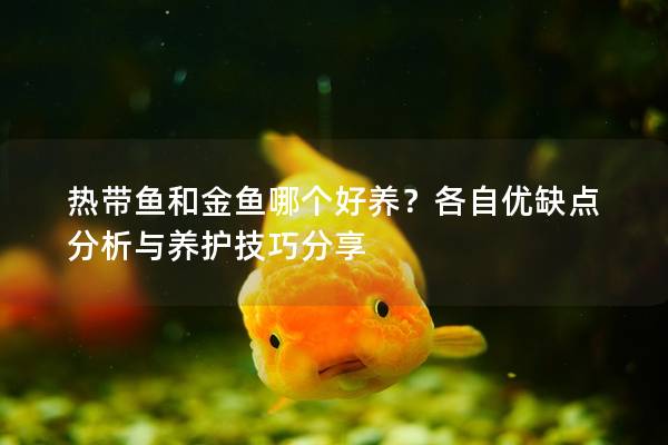 热带鱼和金鱼哪个好养？各自优缺点分析与养护技巧分享