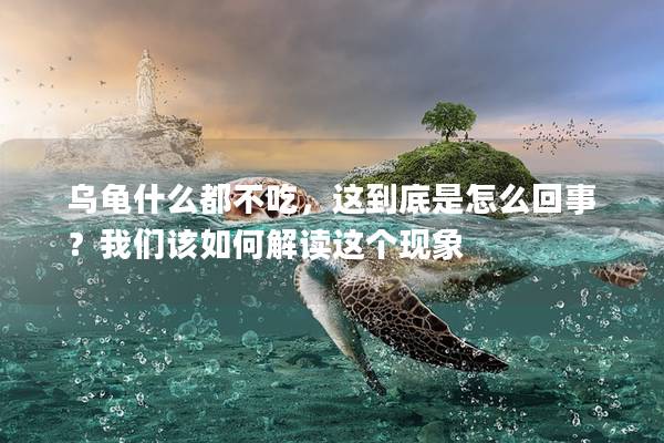 乌龟什么都不吃，这到底是怎么回事？我们该如何解读这个现象