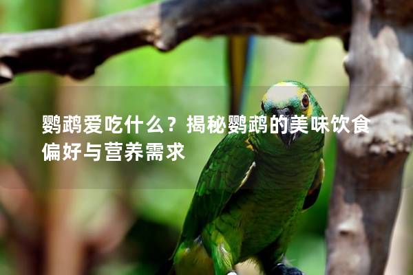 鹦鹉爱吃什么？揭秘鹦鹉的美味饮食偏好与营养需求