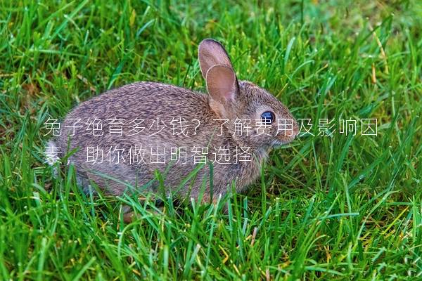 兔子绝育多少钱？了解费用及影响因素，助你做出明智选择