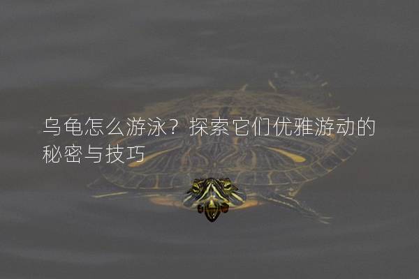 乌龟怎么游泳？探索它们优雅游动的秘密与技巧