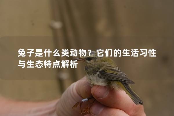 兔子是什么类动物？它们的生活习性与生态特点解析