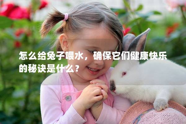 怎么给兔子喂水，确保它们健康快乐的秘诀是什么？