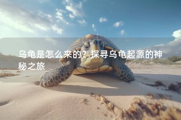 乌龟是怎么来的？探寻乌龟起源的神秘之旅