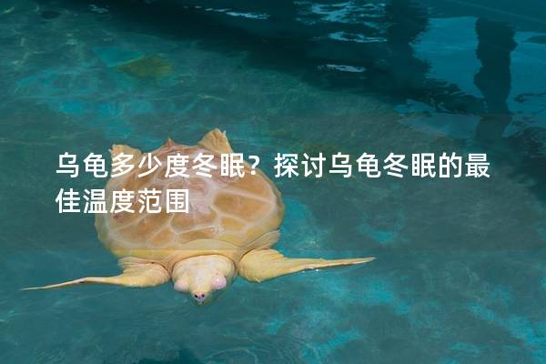 乌龟多少度冬眠？探讨乌龟冬眠的最佳温度范围