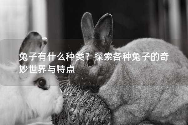 兔子有什么种类？探索各种兔子的奇妙世界与特点