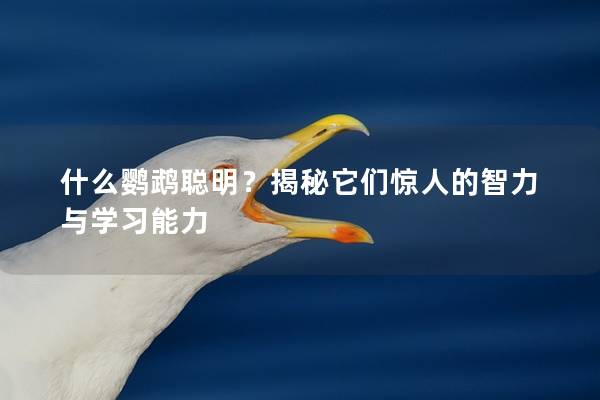 什么鹦鹉聪明？揭秘它们惊人的智力与学习能力