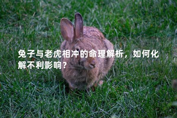 兔子与老虎相冲的命理解析，如何化解不利影响？