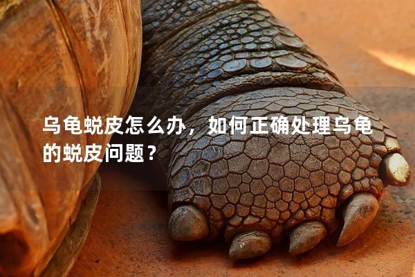 乌龟蜕皮怎么办，如何正确处理乌龟的蜕皮问题？