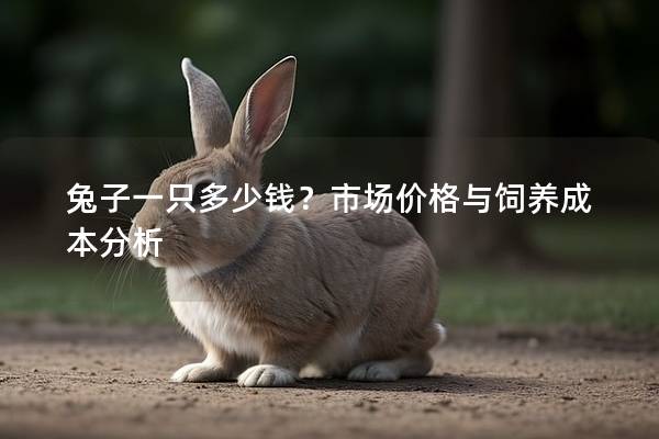 兔子一只多少钱？市场价格与饲养成本分析