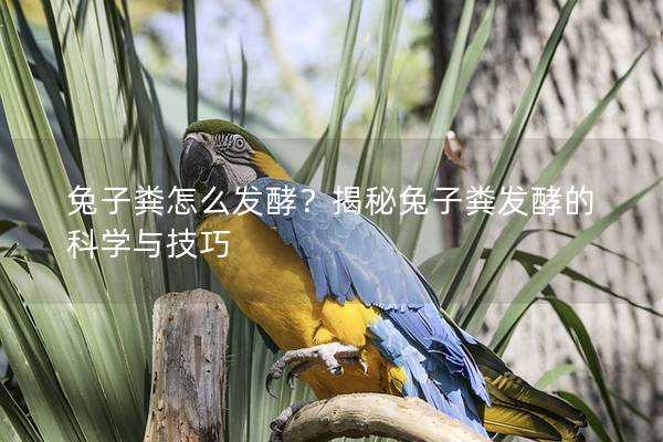 兔子粪怎么发酵？揭秘兔子粪发酵的科学与技巧