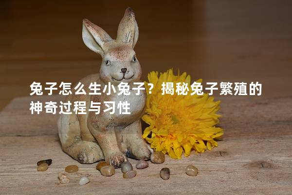 兔子怎么生小兔子？揭秘兔子繁殖的神奇过程与习性