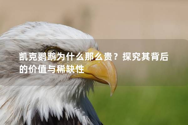 凯克鹦鹉为什么那么贵？探究其背后的价值与稀缺性